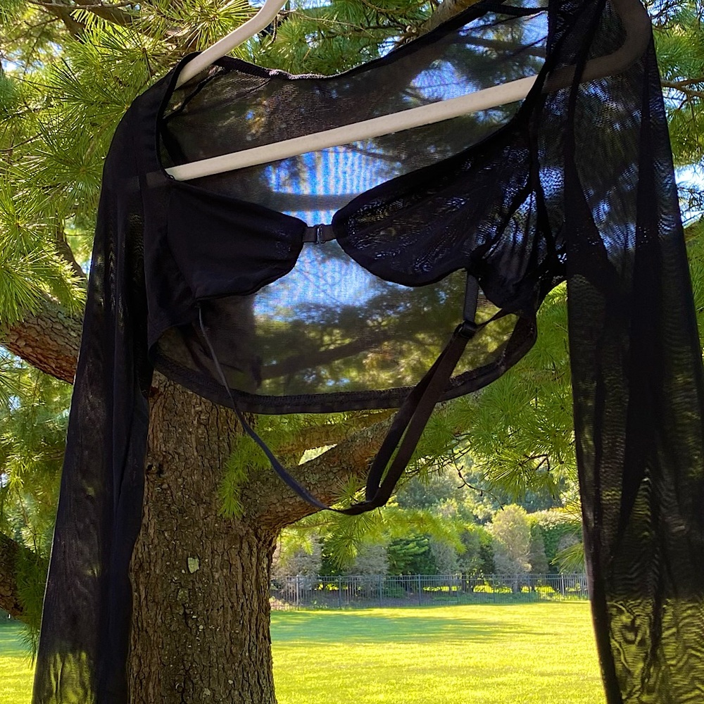 Long-Sleeve, Mesh, Shall/Bra Top